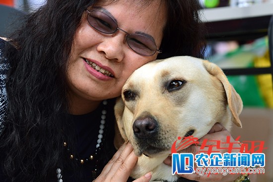 广州首只本土导盲犬助失明25年盲人“重