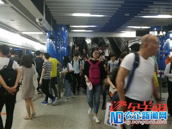 广州地铁表态不提倡“左立右行” 市民