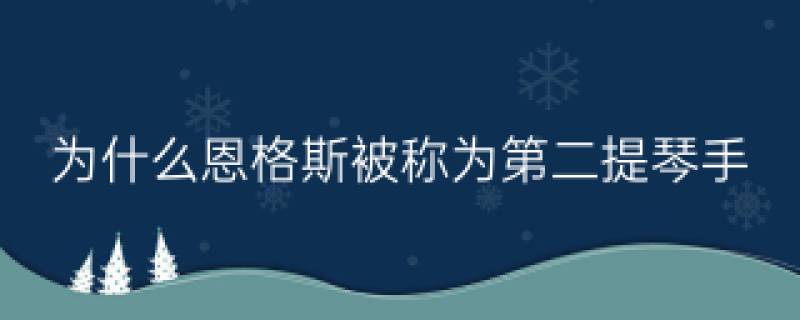 为什么恩格斯被称为第二提琴手